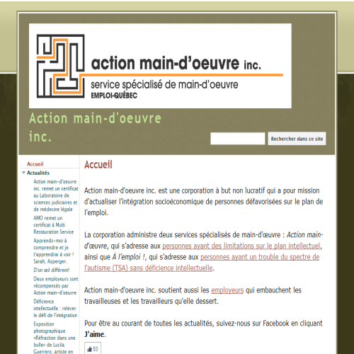 ACTION MAIN D'OEUVRE MTL INC