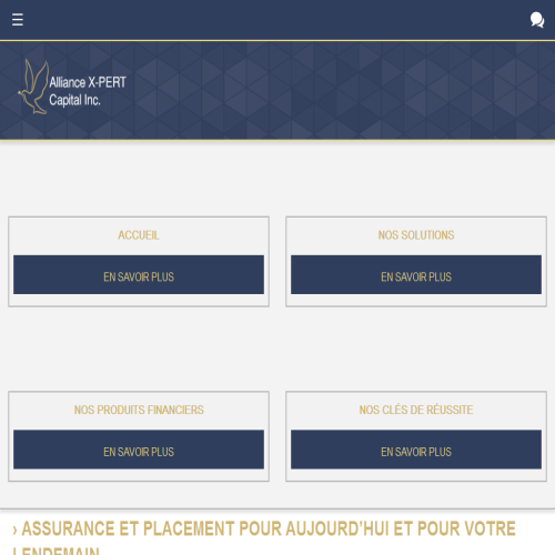 ALLIANCE X-PERT CAPITAL INC