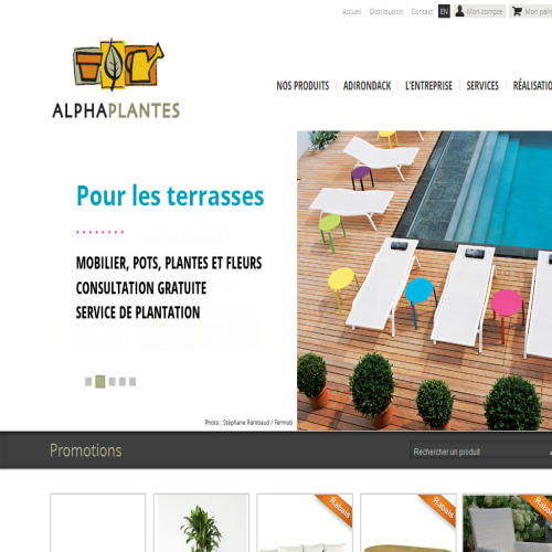 ALPHA PLANTES POTERIES DECORS