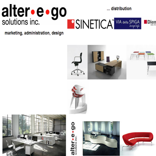 ALTER-E-GO SOLUTIONS INC