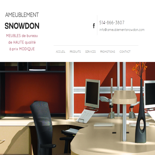 ENTREPRISES ALI SNOWDON INC