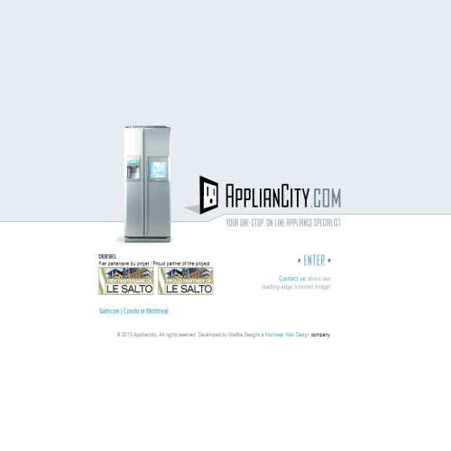 DEBSEL INC DEBSEL INC