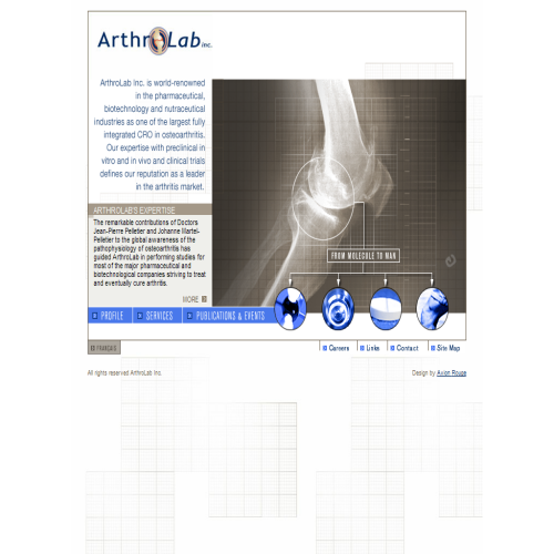 ARTHROLAB INC ARTHROLAB INC