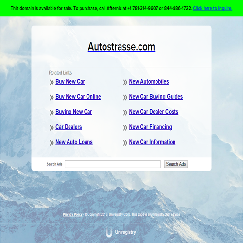 AUTO STRASSE INC AUTO STRASSE INC
