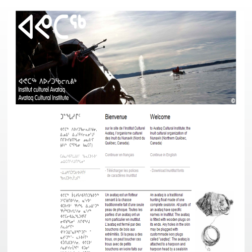 CORPORATION AVATAQ INC