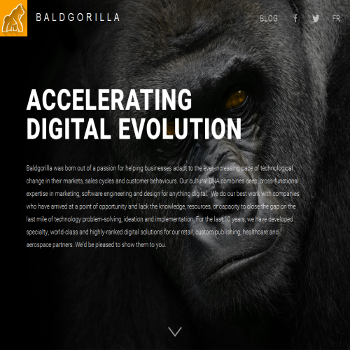 LOGICIELS BALDGORILLA