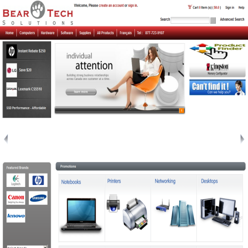 BEARTECH SOLUTIONS INC
