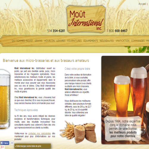 MOUT INTERNATIONAL INC