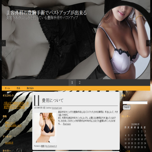 BLONDY ART SAC DE VOYAGE INC