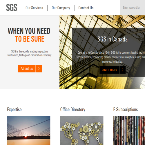 SGS SUPERVISION SVC INC