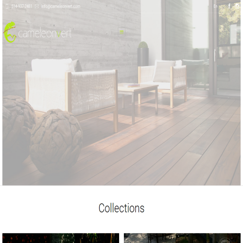 CAMELEON VERT PLANTES TRPCLS