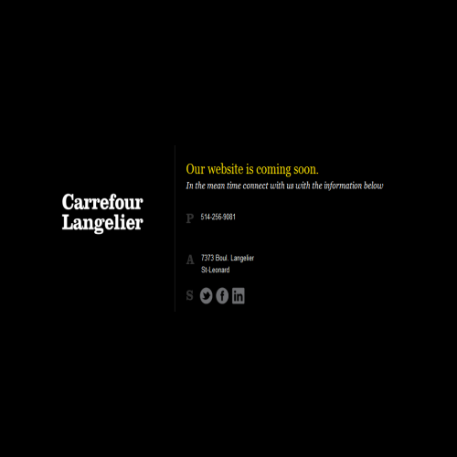 NETTOYEUR CARREFOUR LANGELIER NETTOYEUR CARREFOUR LANGELIER