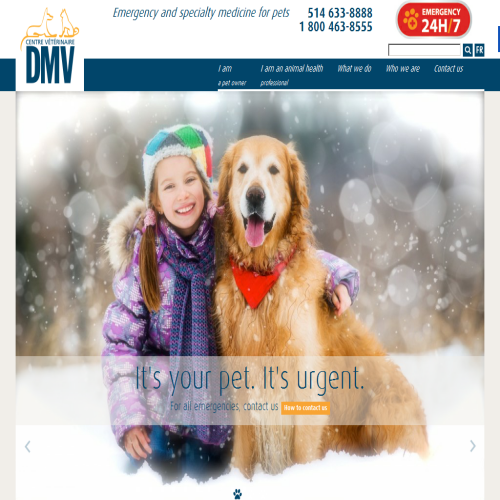 CENTRE VETERINAIRE DMV