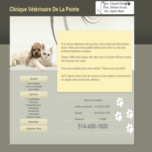 CLINIQUE VETERINAIRE DE LA POINTE