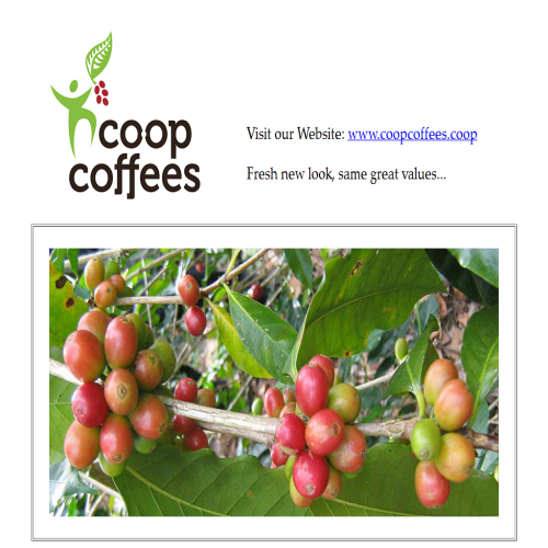 COOP SOLIDARITE DU CAFE EQUITABLE