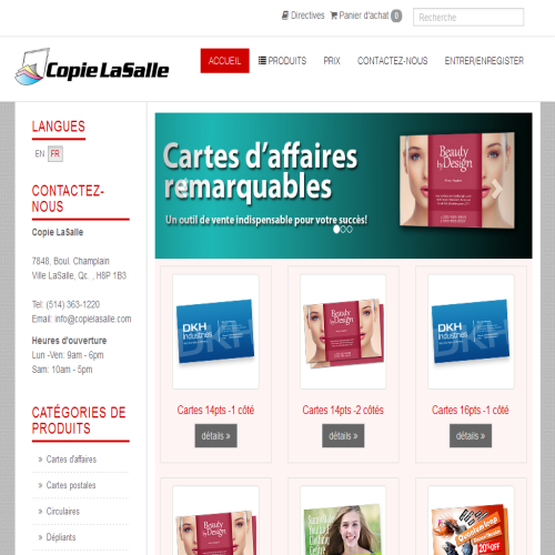 COPIE LASALLE INC