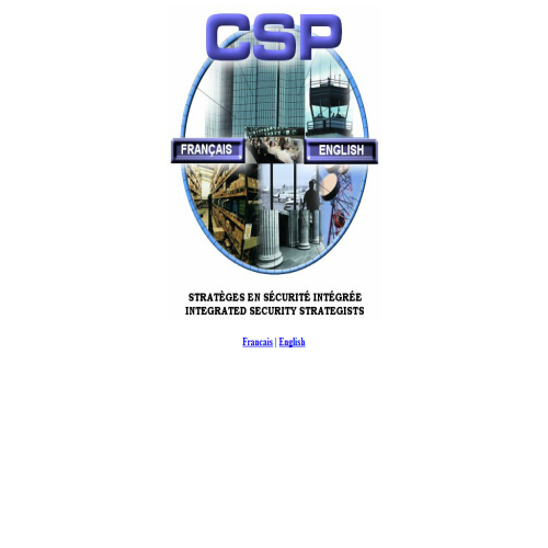 CSP SECURITY CONSULTING INC