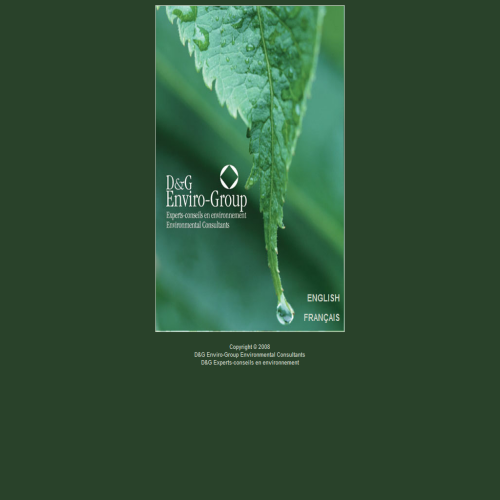 D & G ENVIRO-GROUP INC