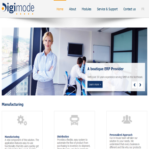 DIGIMODE CONSULTING GROUP INC