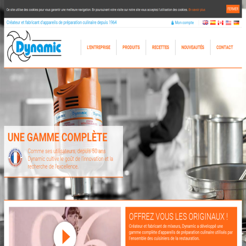 DYNAMIC INTERNATIONAL LTEE