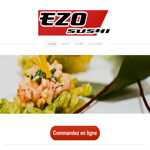 EZO EXPRESS EZO EXPRESS