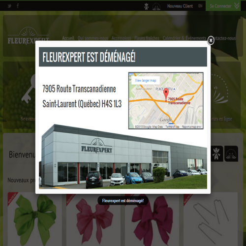 FLEUREXPERT INC