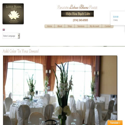 FLEURTISTE LOTUS BLANC