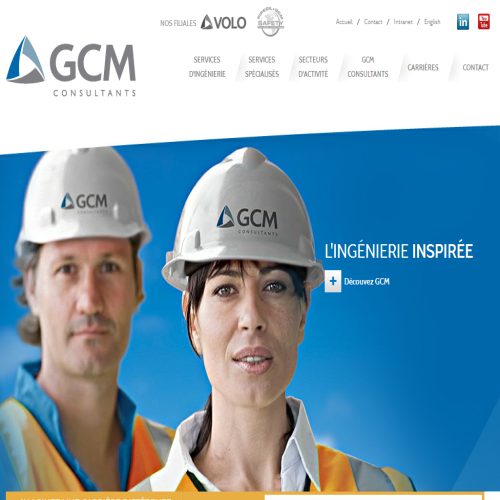 GCM CONSULTANTS