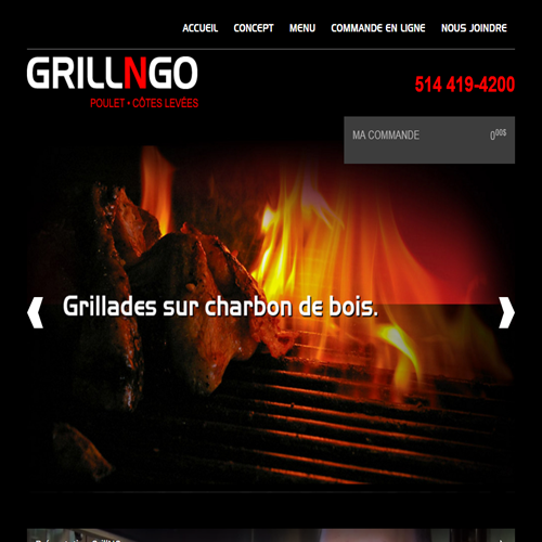 GRILL N GO