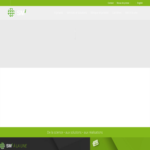 THE S.M. GROUP INTERNATIONAL INC.