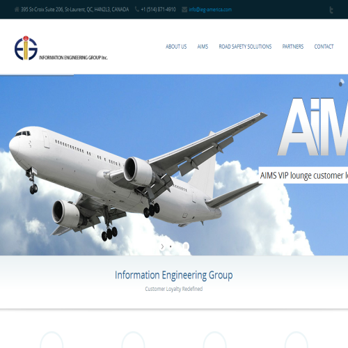 IEG CONSEILLERS EN INFRMTQ