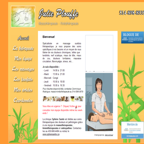 JULIE PLOUFFE                         MASSOTHERAPEUTE-KINESITHERAPEUTE