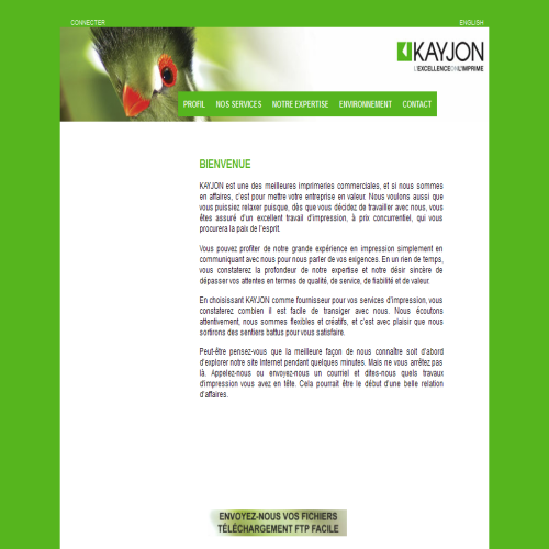 KAYJON GRAPHIQUES INC