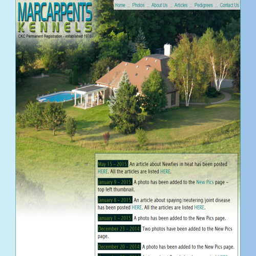 GREENE LOCKSMITH INC