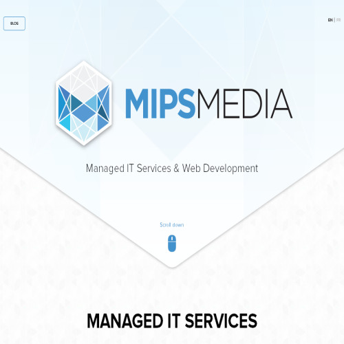 MIPSMEDIA INC