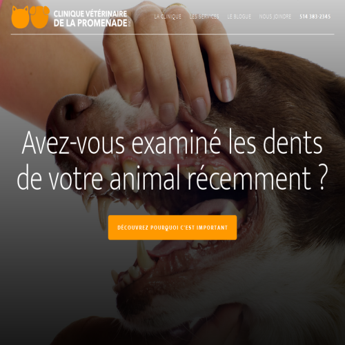 CLINIQUE VETERINAIRE DE LA PROMENADE