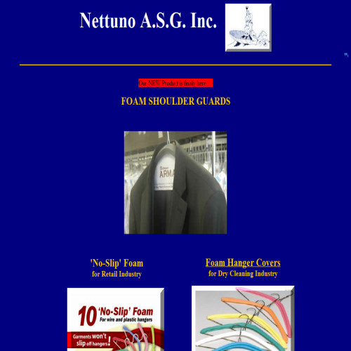 NETTUNO ASG INC