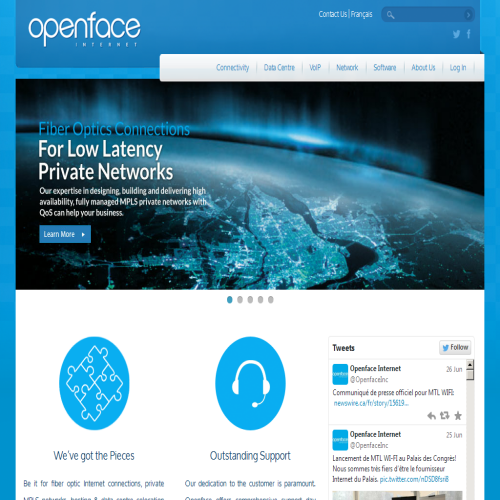 OPENFACE INC