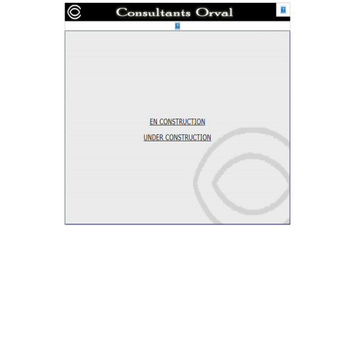 CONSULTANTS ORVAL