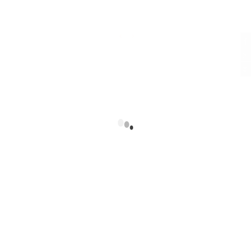 PAVAGE PARAMOUNT PAVING INC