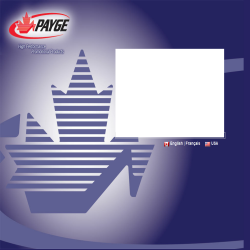 PAYAGE INTERNATIONAL INC