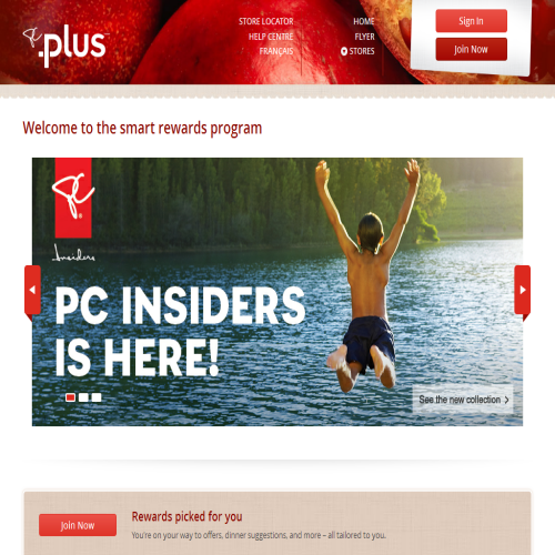 P C PLUS SVC TECHNIQUES INC