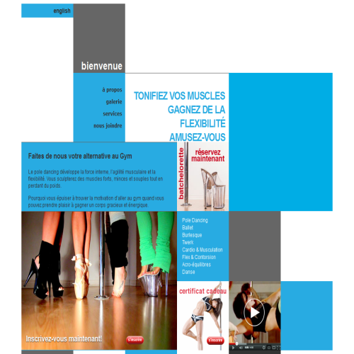 JULIE DOWELL STUDIO INC