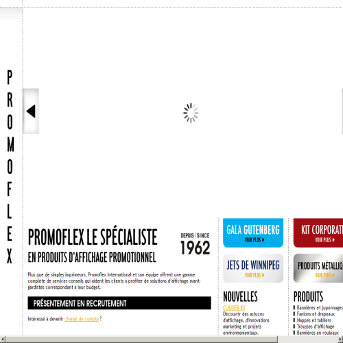 PROMO-FLEX INTERNATIONAL INC