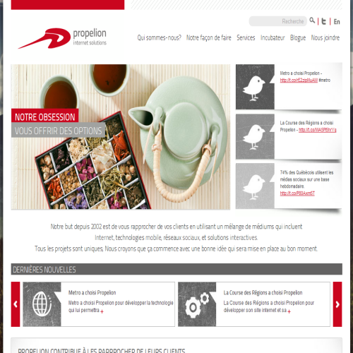 PROPELION INTERNET SOLUTIONS INC