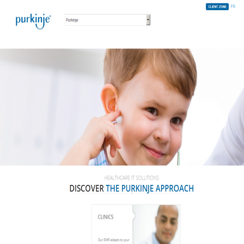 PURKINJE INC
