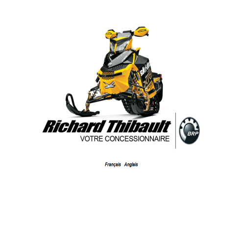 AUTOMOBILES RICHARD THIBAULT