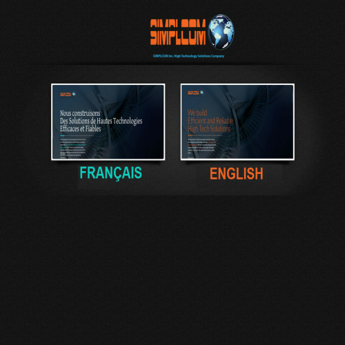 FIDELITY HOLDINGS INC