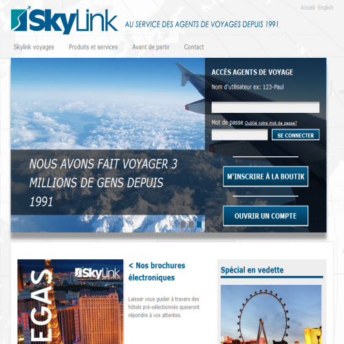 SKYLINK ENTREPRISES INC