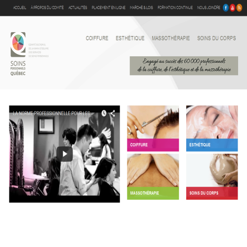 COMITE SECTORIEL DE LA MAIN-D'OEUVRE DES SERVICES DE SOINS PERSONNELS DU QUEBEC